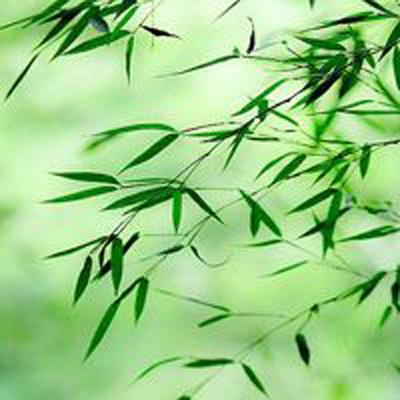 冰火之刃九游版本下载